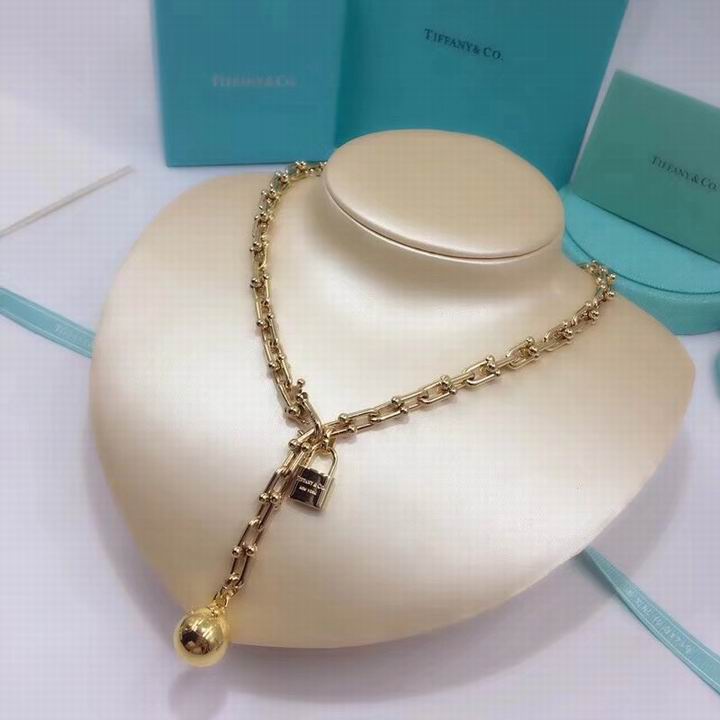 Tiffany&Co Necklaces 55